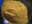 07460060: Fenouil Italie